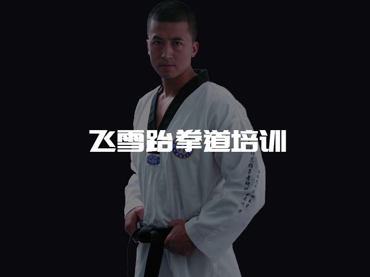 蘭州傳誠網絡公司案例-飛雪跆拳道